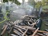 Brand 1